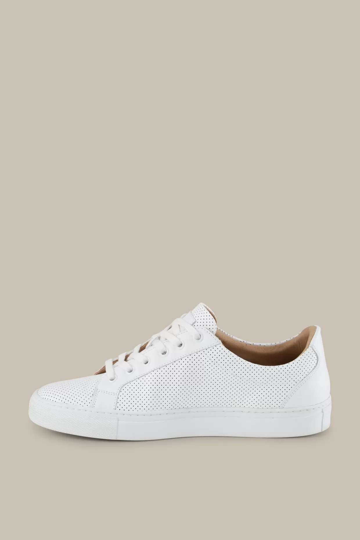 Herren Windsor Sneaker Flat Tennis By Ludwig Reiter In , Unisex