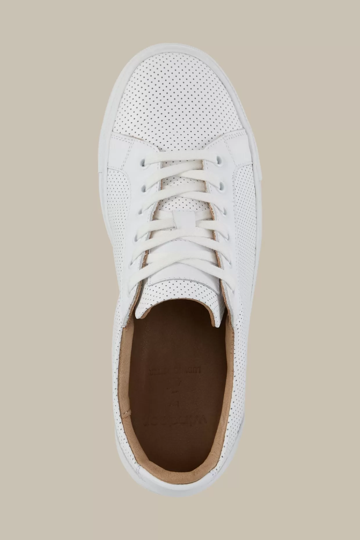 Herren Windsor Sneaker Flat Tennis By Ludwig Reiter In , Unisex